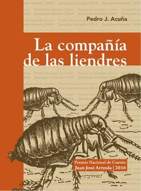 Pedro J. Acuña La compañía de las liendres обложка книги