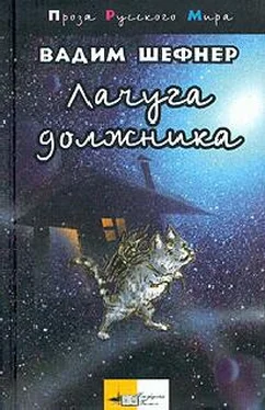 В. Шефнер Лачуга должника обложка книги