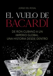 Jorge Del Rosal - El vuelo de Bacardí