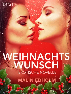 Malin Edholm Weihnachtswunsch: Erotische Novelle обложка книги