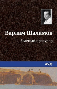 Варлам Шаламов Зеленый прокурор обложка книги