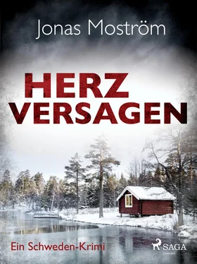 Jonas Moström Herzversagen - Ein Schweden-Krimi обложка книги