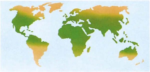 En este mapa puedes ver la distribución geográfica de la familia ránidos Las - фото 8