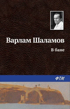 Варлам Шаламов В бане обложка книги