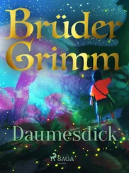 Brüder Grimm - Daumesdick