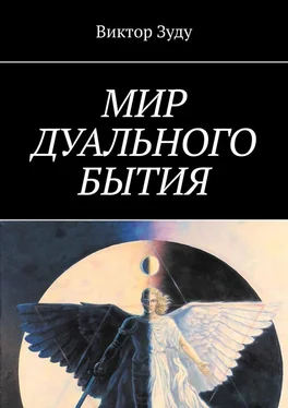 Виктор Зуду Мир дуального бытия обложка книги