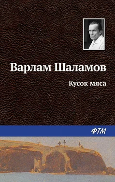 Варлам Шаламов Кусок мяса обложка книги