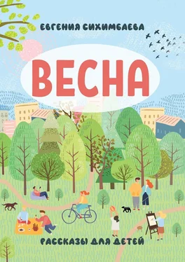 Евгения Сихимбаева ВЕСНА. Рассказы для детей обложка книги