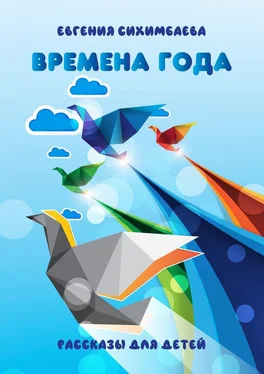 Евгения Сихимбаева Времена года обложка книги