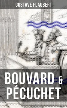 Gustave Flaubert BOUVARD & PÉCUCHET обложка книги