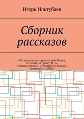 Игорь Ильтубаев - Сборник рассказов. «Загадочная история на реке Бирь», «Случай на трассе М-5», «Осиное гнездо», «Сюрприз в дорогу», «Домовой», «2020»