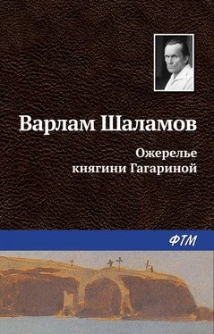 Варлам Шаламов Ожерелье княгини Гагариной обложка книги