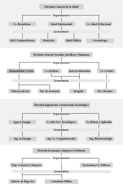 Gráfica 1Interacción académica del CUT Esta inercia podría generar que las - фото 29