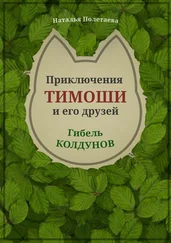 Наталья Полетаева - Приключения Тимоши и его друзей. Гибель колдунов