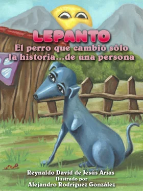 Reynaldo David De Jesus Arias Lepanto обложка книги