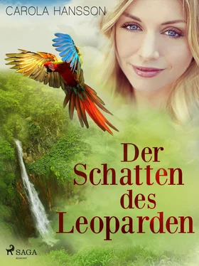 Carola Hansson Der Schatten des Leoparden обложка книги