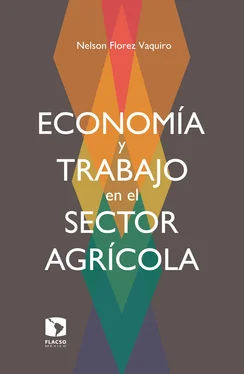 Nelson Florez Vaquiro Economía y trabajo en el sector agrícola обложка книги