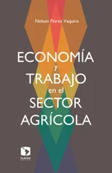 Nelson Florez Vaquiro - Economía y trabajo en el sector agrícola