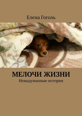 Елена Гоголь МЕЛОЧИ ЖИЗНИ. Невыдуманные истории обложка книги