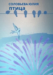 Юлия Соловьева - Птица