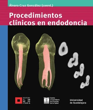 Álvaro Cruz González Procedimientos clínicos en endodoncia обложка книги