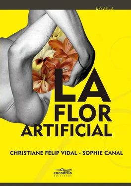 Christiane Félip Vidal La flor artificial обложка книги