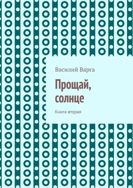 Василий Варга Прощай, солнце. Книга вторая обложка книги