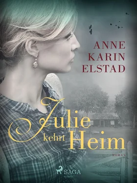 Anne Karin Elstad Julie kehrt heim обложка книги