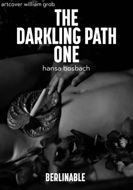 Hansa Bosbach The Darkling Path - Episode 1 обложка книги