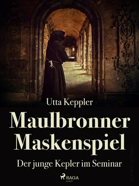 Utta Keppler Maulbronner Maskenspiel - Der junge Kepler im Seminar обложка книги