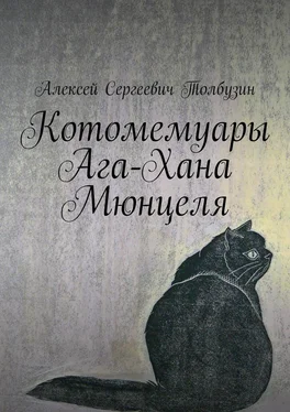 Алексей Толбузин Котомемуары Ага-Хана Мюнцеля обложка книги