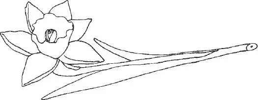 5 Warum machst du denn da mit wenn du keine Lust hast Mandy kann sich - фото 6