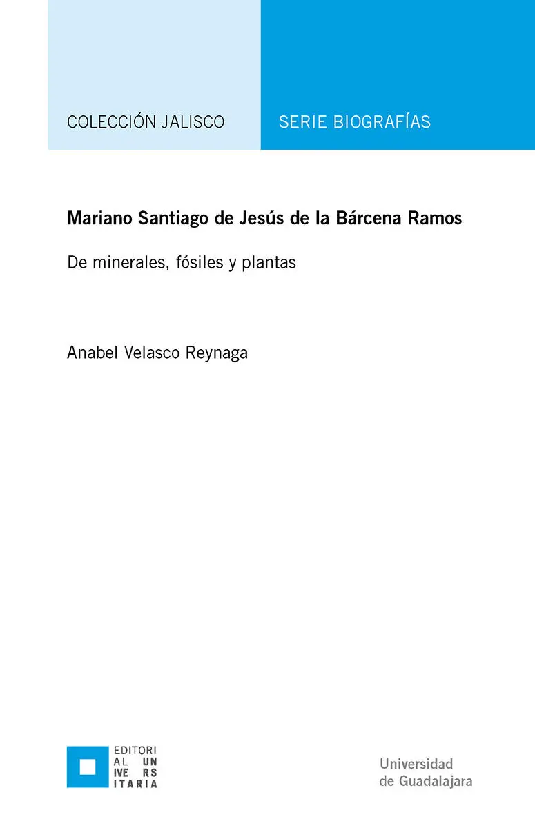 Mariano Santiago de Jesús de la Bárcena Ramos - изображение 2