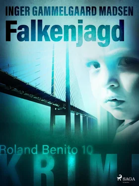 Inger Gammelgaard Madsen Falkenjagd - Roland Benito-Krimi 10 обложка книги