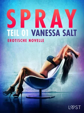 Vanessa Salt Spray - Teil 1: Erotische Novelle обложка книги