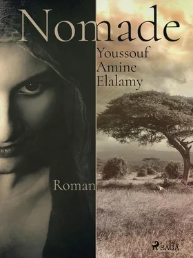 Youssouf Amine Elalamy Nomade обложка книги