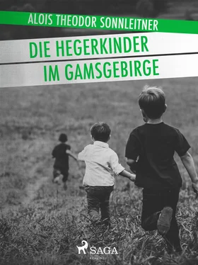 Alois Theodor Sonnleitner Die Hegerkinder im Gamsgebirge обложка книги