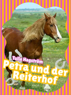 Torbjörg Hagström Petra und der Reiterhof обложка книги