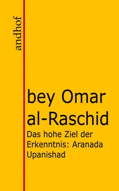 Omar al Raschid Bey Das hohe Ziel der Erkenntnis обложка книги