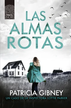 Patricia Gibney Las almas rotas обложка книги