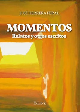 José Herrera Peral Momentos обложка книги