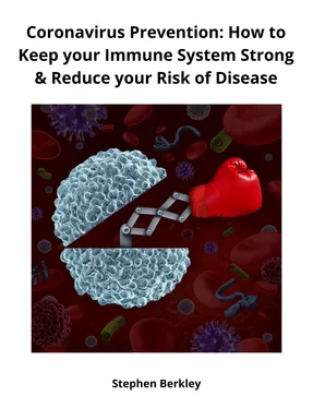 Stephen Berkley Coronavirus Prevention: How to Keep your Immune System Strong & Reduce your Risk of Disease обложка книги