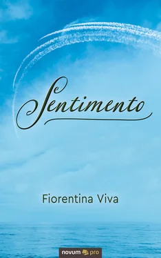 Fiorentina Viva Sentimento обложка книги
