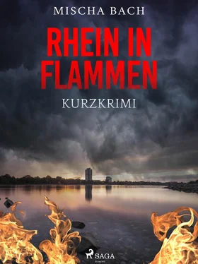 Mischa Bach Rhein in Flammen - Kurzkrimi обложка книги