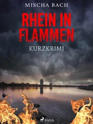 Mischa Bach - Rhein in Flammen - Kurzkrimi