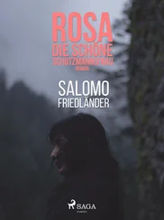 Salomo Friedländer - Rosa, die schöne Schutzmannsfrau