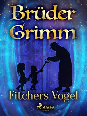 Brüder Grimm Fitchers Vogel обложка книги