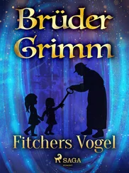 Brüder Grimm - Fitchers Vogel