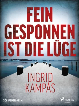 Ingrid Kampås Fein gesponnen ist die Lüge - Schweden-Krimi обложка книги