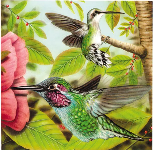El colibrí es el ave más pequeña del mundo También es única por su tipo de - фото 4
